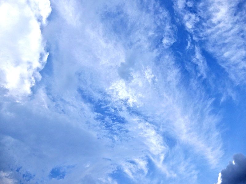 空5