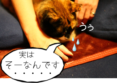 IMG_1266.png