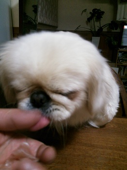 20130214-4.jpg