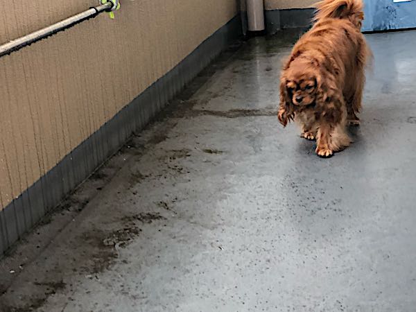 rblog-20180213090643-03.jpg