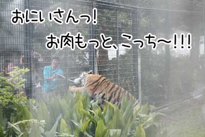 夜３.JPG