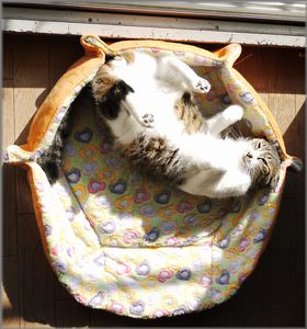 よっこらしょ