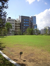 芝生広場.jpg