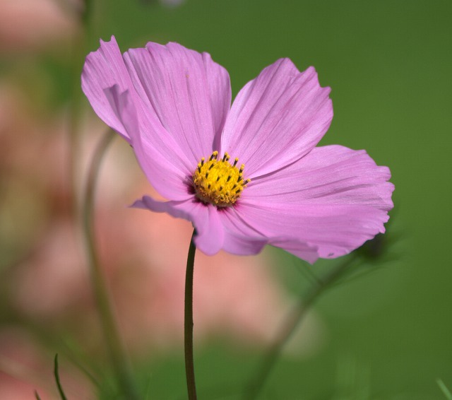 brianfuller6385 (100,000 views Whoopee!).jpg