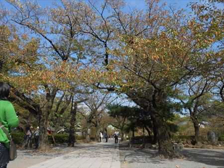 三島大社