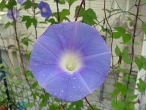 20150831b.jpg
