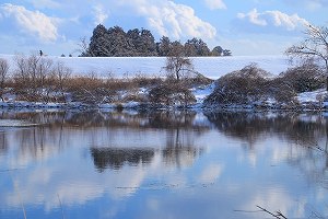 IMG_9949.jpg