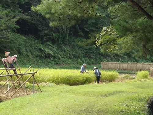 房総０５