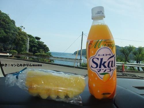 DSCF5895.jpg