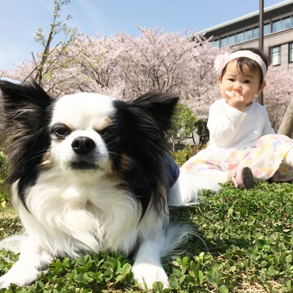 rblog-20160412224251-02.jpg