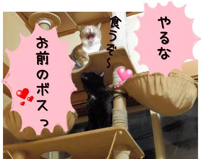 やるな.JPG