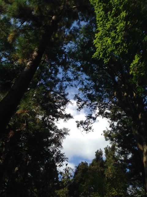 20141108173100.jpg