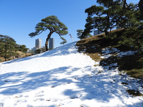 浜離宮恩賜庭園にて