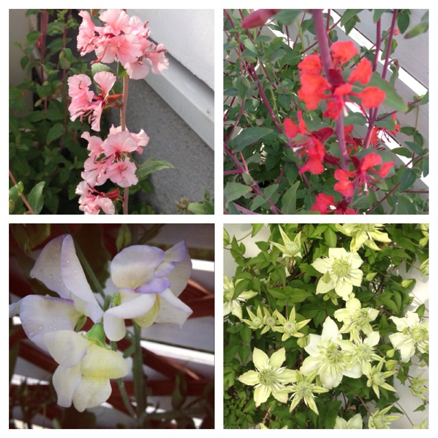 rblog-20130522174320-00.jpg