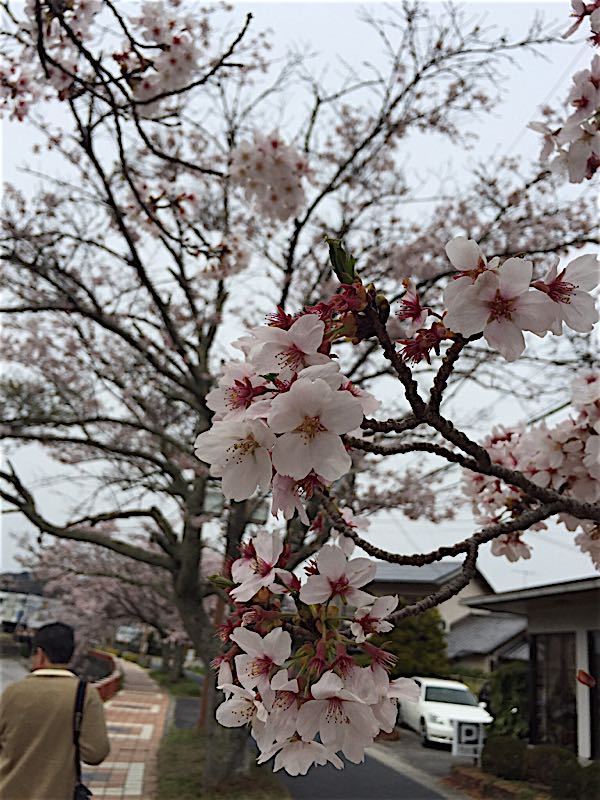 rblog-20160501080547-02.jpg