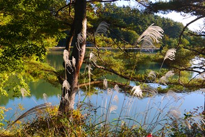 P1110382.jpg