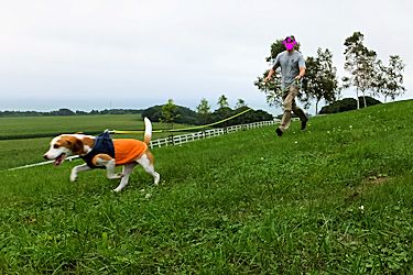 20150817ダッシュ