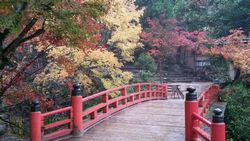 第5回? 早朝ウォーキング_4281.jpg