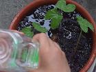 さらにもっとあげます
