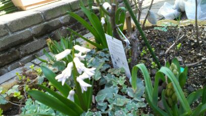 rblog-20140331112257-01.jpg