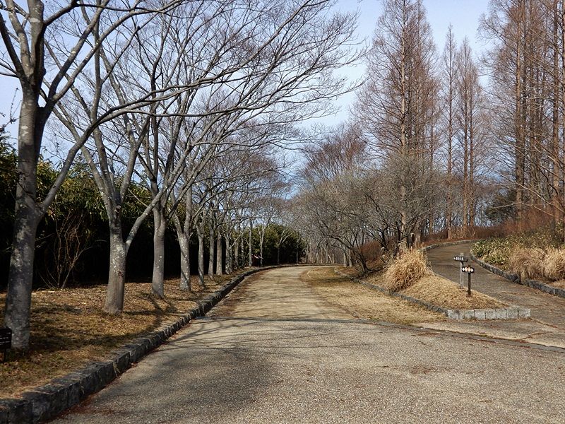 外周路2