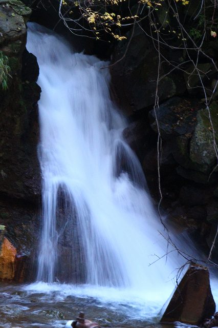 IMG_0130.jpg