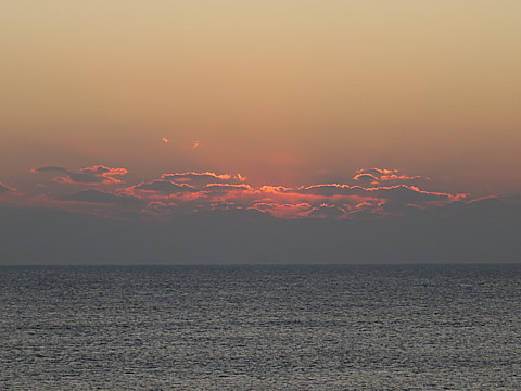IMG_8065.jpg