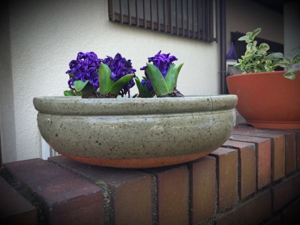 rblog-20160225215649-04.jpg