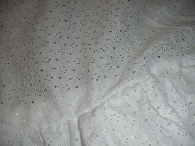 PICT0005.jpg