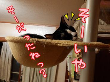八そうーいえば.JPG