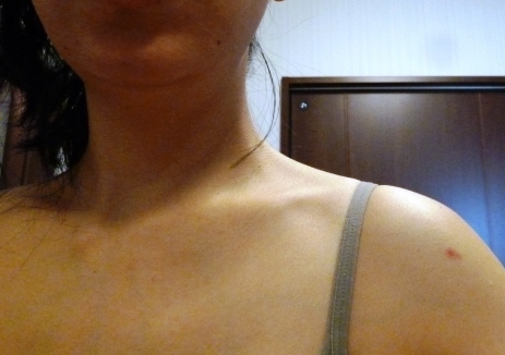 P1060137.JPG