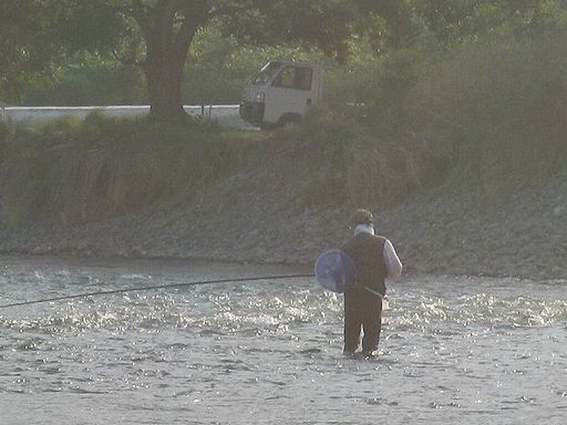 IMG_2727.JPG