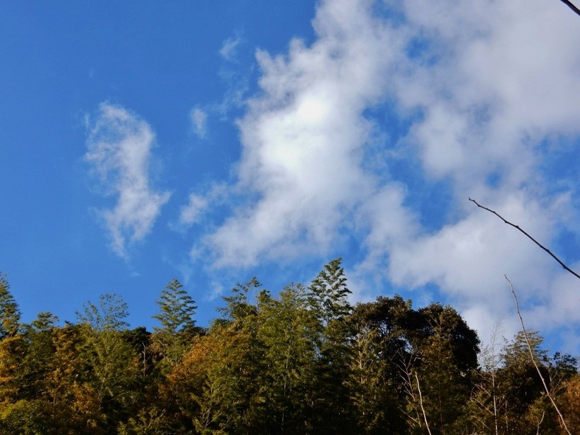 空 2.JPG