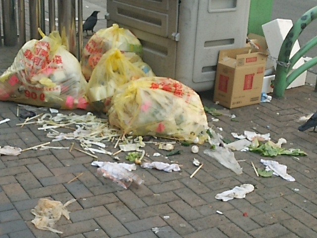 270125ゴミ.JPG