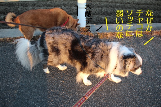 ぐすん