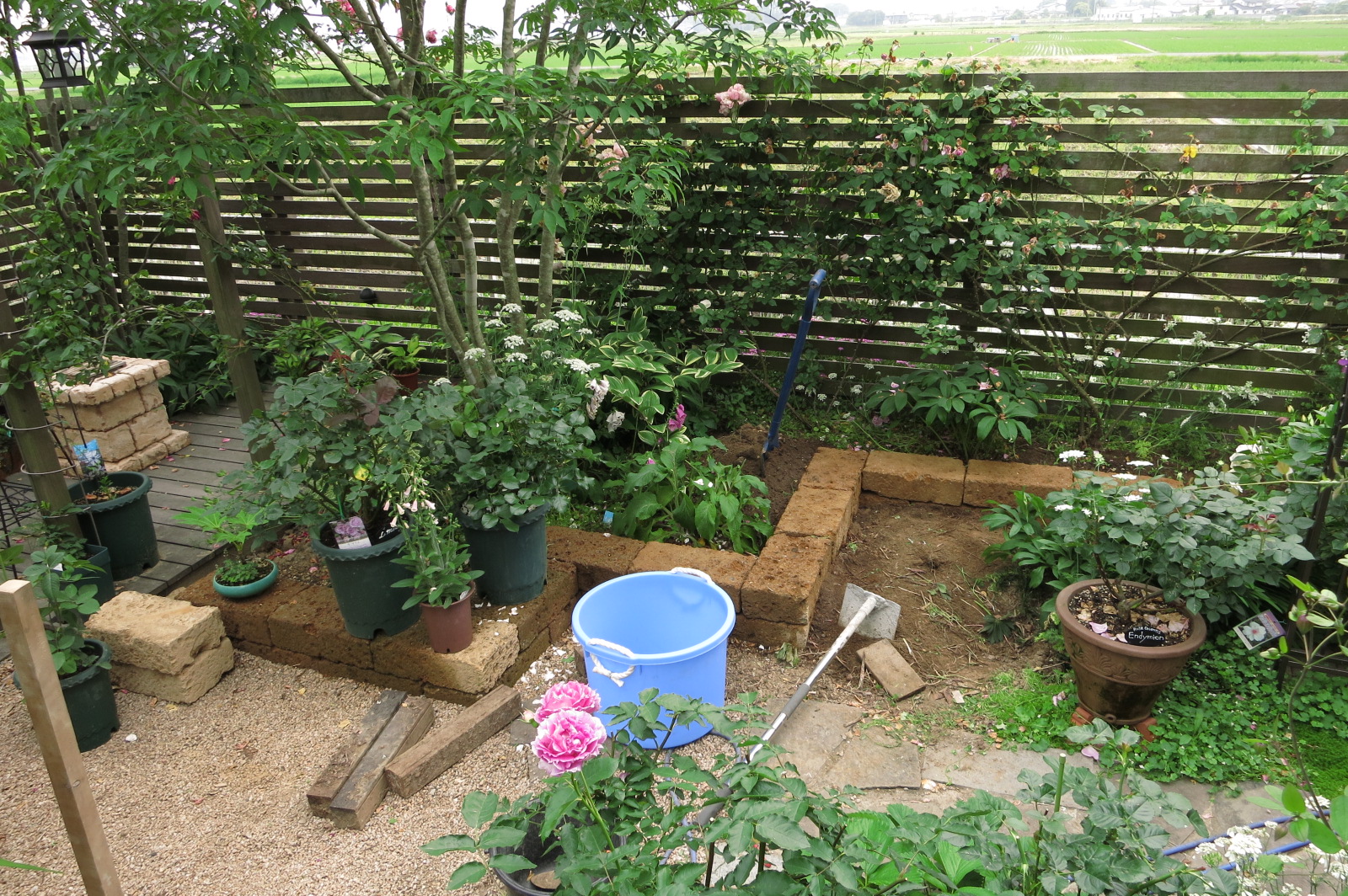 ガーデンdiy 男のバラ庭造り 楽天ブログ