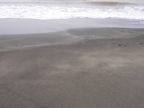 CIMG1708.JPG