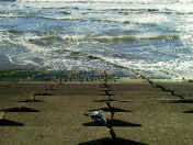 2014010621480000.jpg