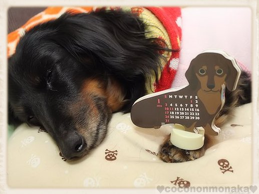 カレンダー
