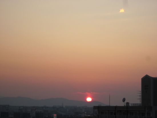 IMG_8039.JPG