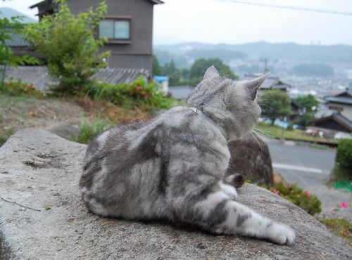 DSC_0133.JPG