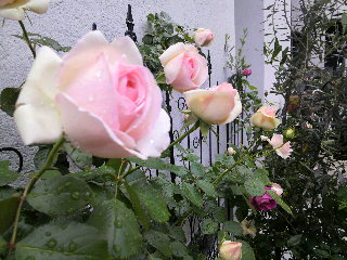 2012-04-20 08:39:26