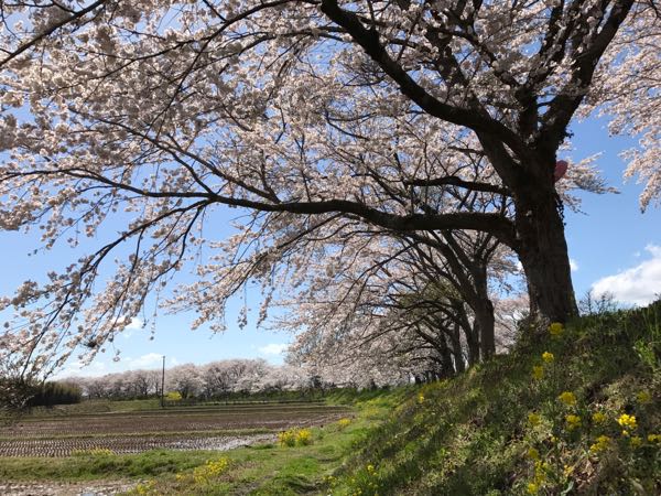 rblog-20170418200000-02.jpg