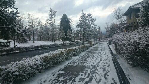 rblog-20180126225719-01.jpg