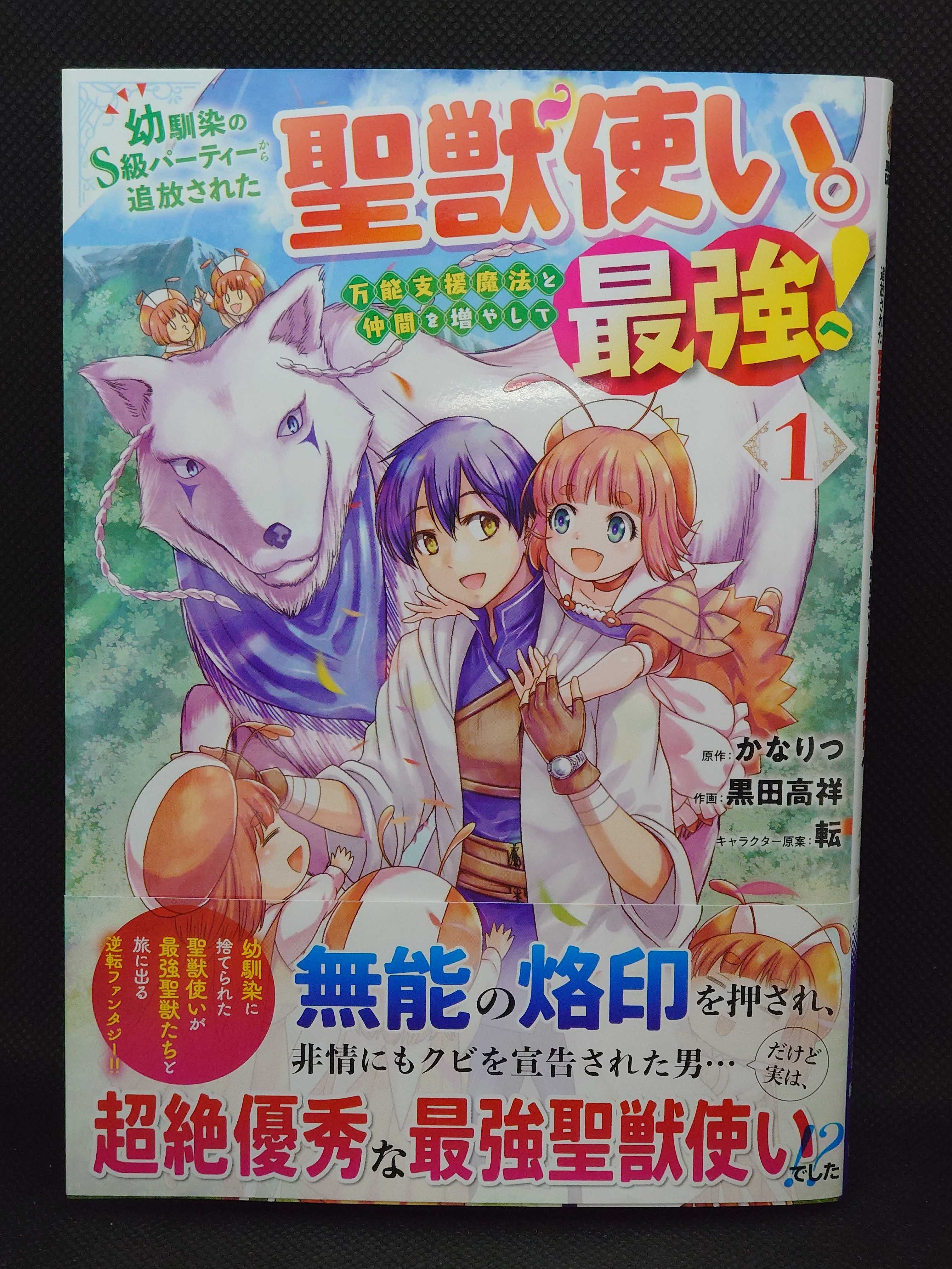 今日の１冊 ６６８日目 その３ 幼馴染のS級パーティーから追放された聖