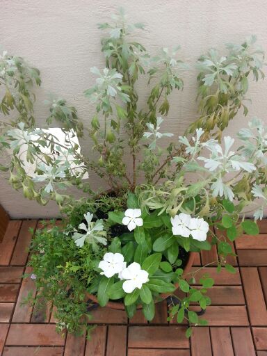 rblog-20140812145642-03.jpg