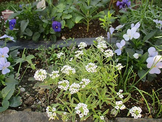 IMG_3270ss.jpg