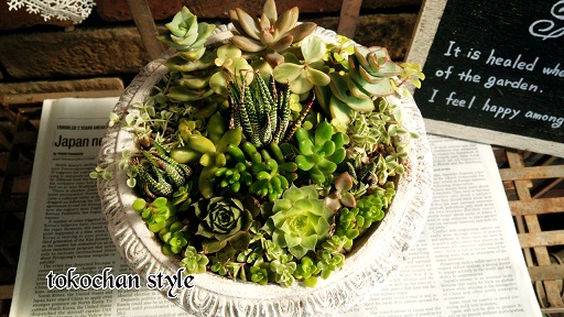 2014-10-15-11-07-39_deco.jpg