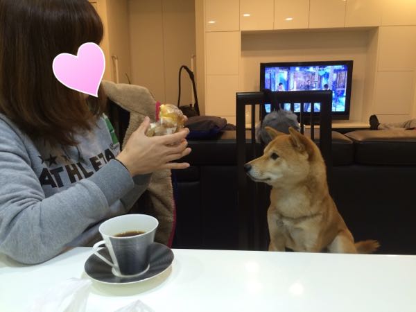 rblog-20151213211725-01.jpg
