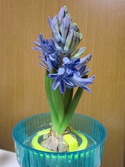 s-20120316 (9).jpg
